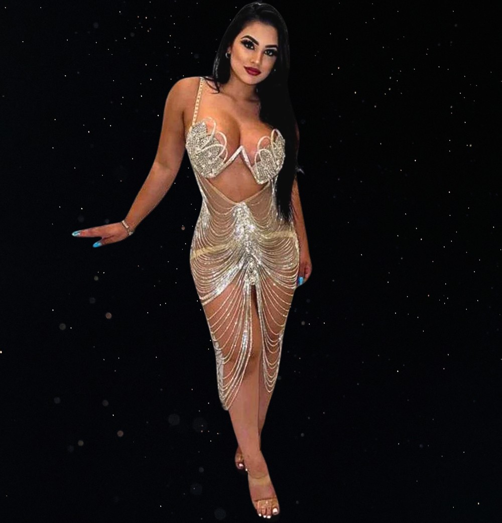 Luxury Women's Sexy Spaghetti Straps See-through  Party Gowns
